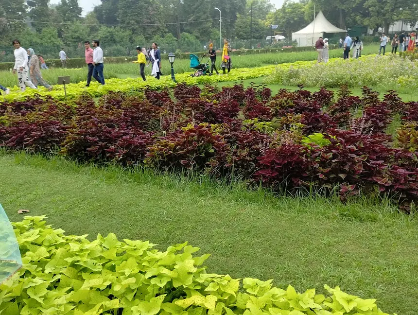 未经本实验 JPEG 重编码的彩色花园样片
